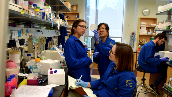 looking at a lab plate (c) UCR/CNAS